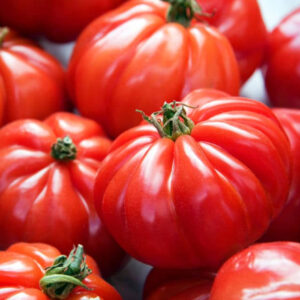Tomate Marmande